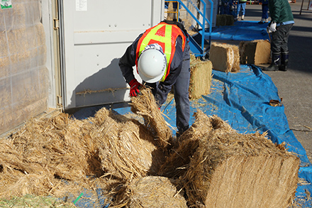 飼料用の乾草に病害虫や輸入禁止品の土などが付着していないか、ばらしながら丹念に調べる白戸さん。
