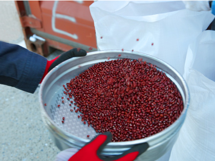 中国産の小豆を検査用のふるいにかけ、虫などがいないか目を凝らします。