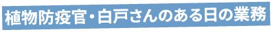 白戸さんの典型的な1日