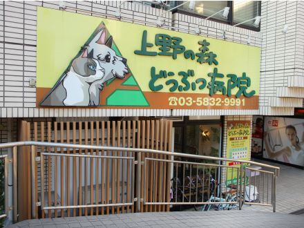 内村さんが院長を務める「上野の森動物病院」