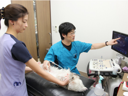 超音波検査で体内のできものを調べる内村さん。