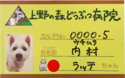 写真付きの診察券。