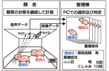 複数のマイクとカメラで豚の状態を継続して観測し、パソコンで識別・判定を行う。
