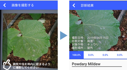 開発中のアプリケーション画面