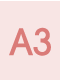 A3