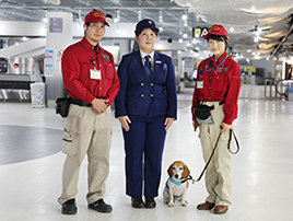 病気から守るために【家畜防疫官】