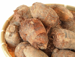 白くきめ細かい肉質で粘り気が強く、郷土料理のほうとうやのっぺい汁（けんちん汁）などにも使われる。