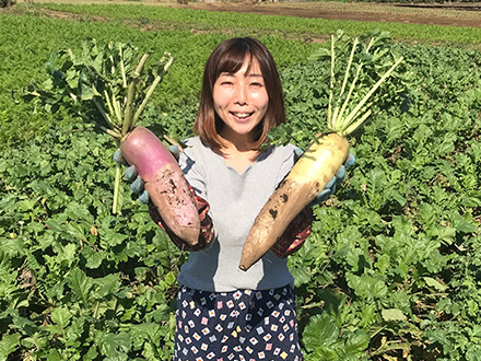 カラフル大根を収穫する永野さん。
