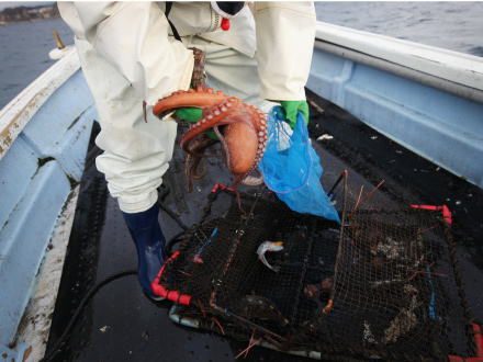 検査対象のコンテナー