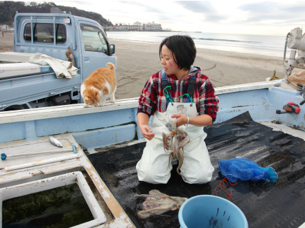検査対象のコンテナー