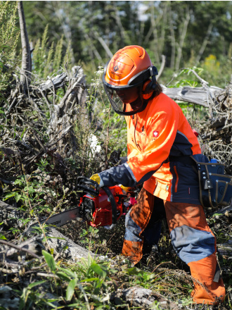 苗木を植えるためのガイドにする柱