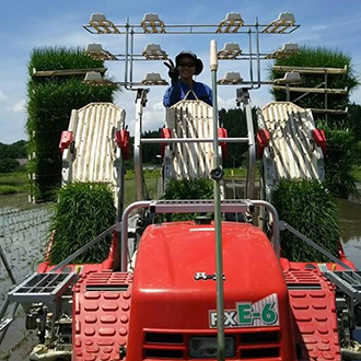 トラクターを操って田植えに励む林崎さん。