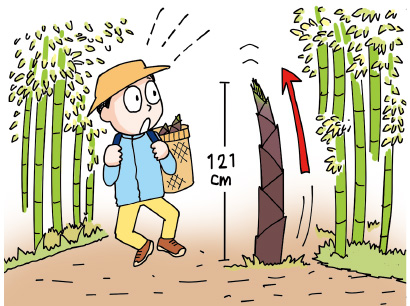 たけのこの生産量