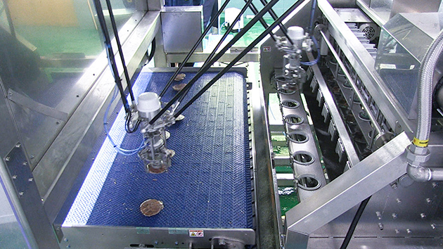 ホタテ貝自動生剥きロボット「オートシェーラー」(株)ニッコー