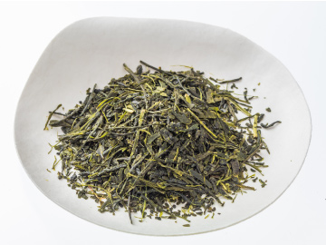 日本三大銘茶として知られる狭山茶。