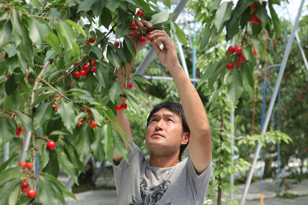 画像:さくらんぼ 岡崎 貴嗣さん