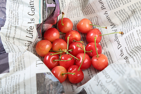 写真：新聞紙に包まれたさくらんぼ