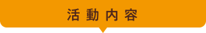 活動内容