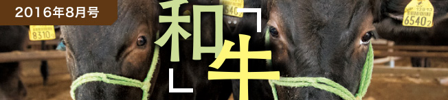 2016年4月号 和牛