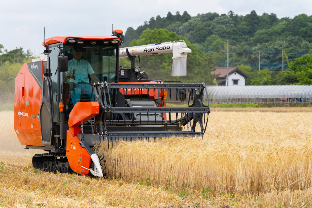 写真:麦を収穫するコンバイン