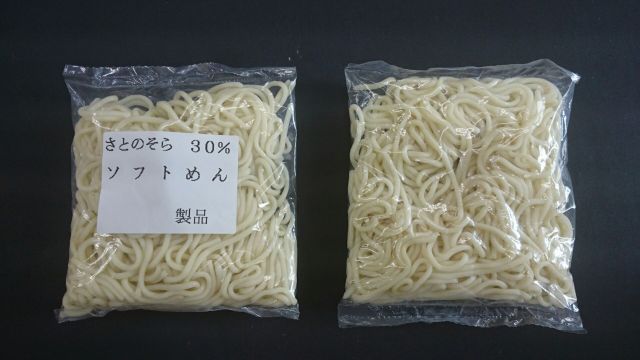 写真：ソフトめん