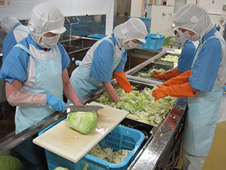 写真：野菜をカットする様子