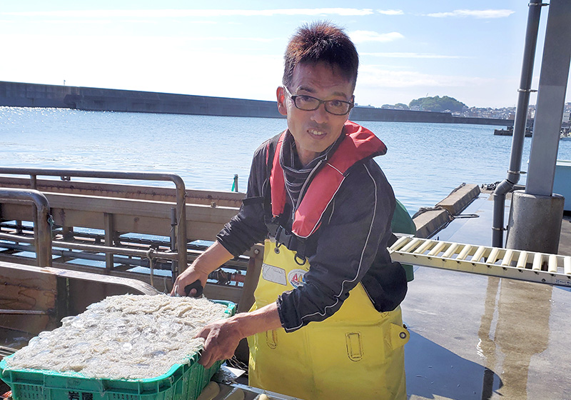 画像:生しらす 岸本 保さん