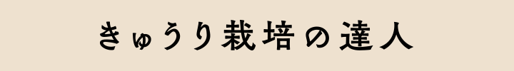 きゅうり栽培の達人