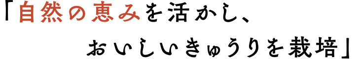 自然の恵みを活かし、おいしいきゅうりを栽培