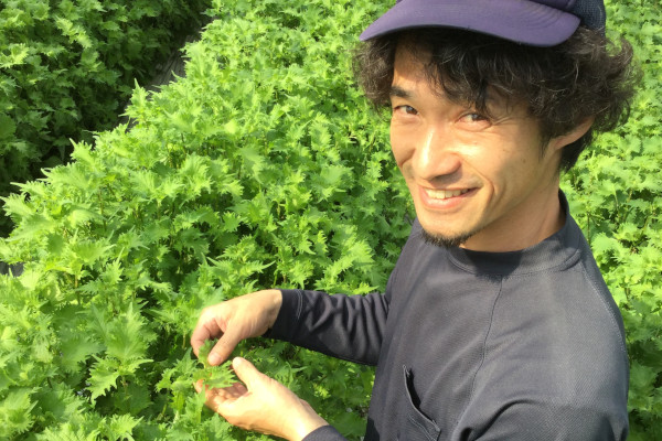 画像:大葉 荒井 英之さん