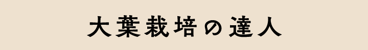 大葉栽培の達人