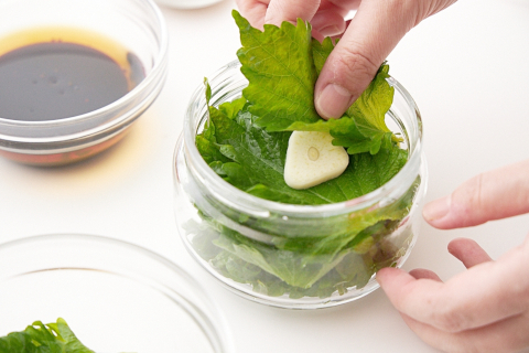 写真：大葉とにんにくを容器に交互に重ね入れる