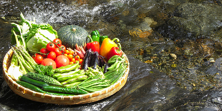 写真:様々な野菜