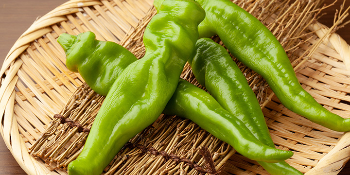 写真:万願寺とうがらし