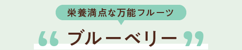 栄養満点な万能フルーツ ブルーベリー