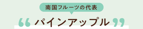 南国フルーツの代表 パインアップル