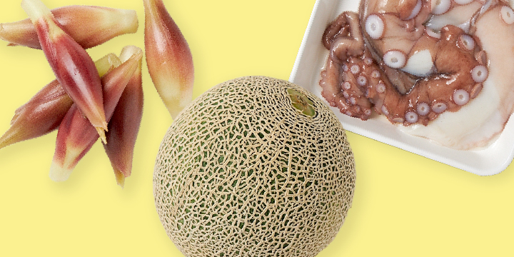 写真:みょうが メロン ミズダコ