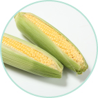 写真:とうもろこし