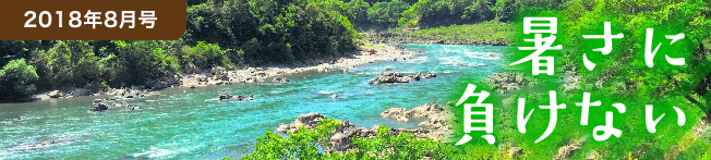 2018年8月号 暑さに負けない