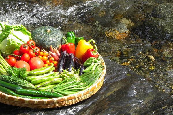 画像：様々な野菜