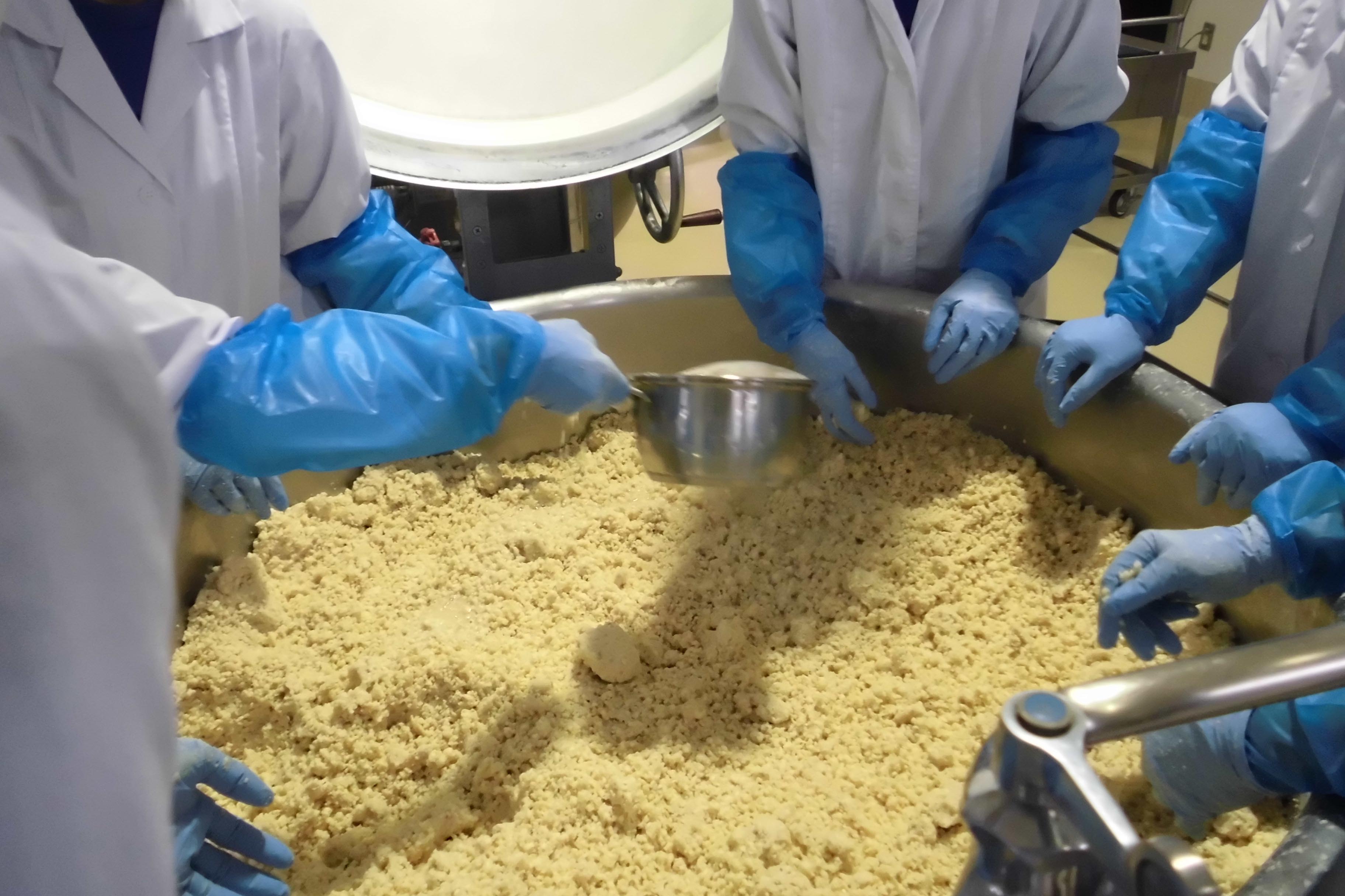 写真：味噌の仕込みの様子