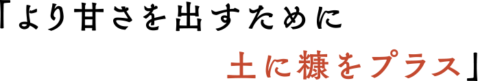 より甘さを出すために 土に糠をプラス