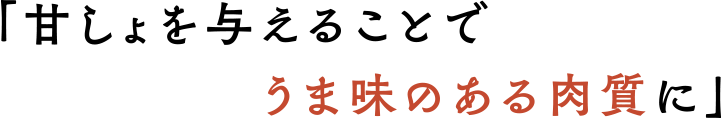 「甘しょを与えることでうま味のある肉質に