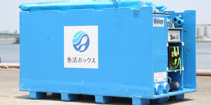 写真:魚活ボックス