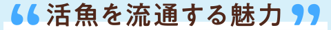 活魚を流通する魅力