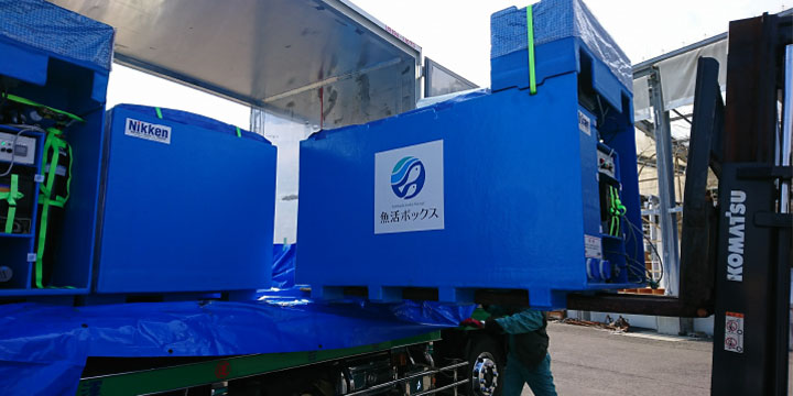 写真:魚活ボックス