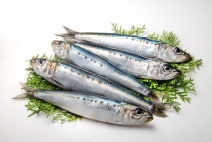 写真：マイワシ