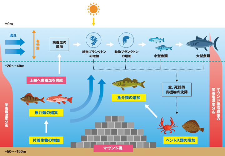 図:マウンド礁の効果事例。付着生物の増加、ベントス類の増加、魚介類の増加、蝟集