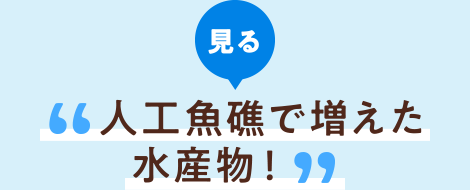 見る 人工魚礁で増えた水産物!
