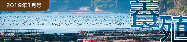 2019年1月号 養殖